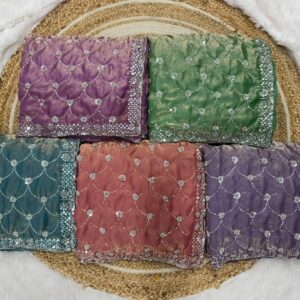 space sattin dual shad saree beeds